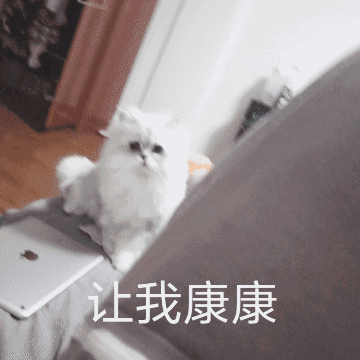 让我康康（让我康康）