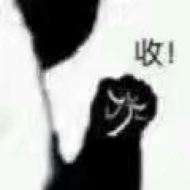 收（熊猫人侧脸）（收（熊猫人侧脸））