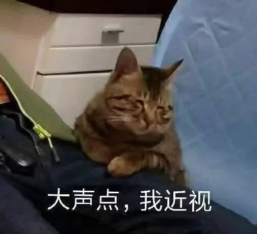 大声点，我近视（大声点，我近视）