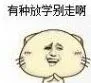 有种放学别走啊有种放学别走啊 不走就不走 哥们你怎么了 我放学给人打了（有种放学别走啊有种放学别走啊 不走就不走 哥们你怎么了 我放学给人打了）