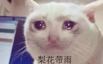 梨花带雨（梨花带雨）