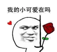 我的小可爱在吗？（我的小可爱在吗？）