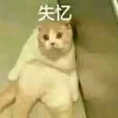 失忆（小猫）（失忆（小猫））