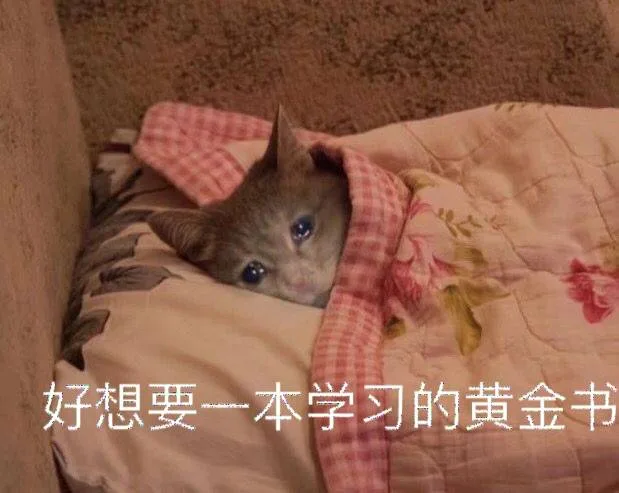 好想要一本学习的黄金书（好想要一本学习的黄金书）