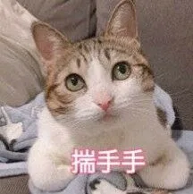 揣手手（揣手手）