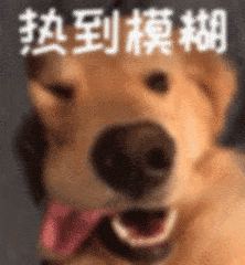 扫到模糊（扫到模糊）