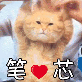 笔芯（笔芯）