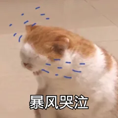 暴风哭泣（暴风哭泣）