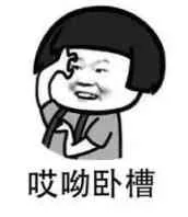 哎呦卧槽（哎呦卧槽）