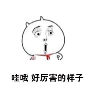 哇哦，好厉害的样子（哇哦，好厉害的样子）
