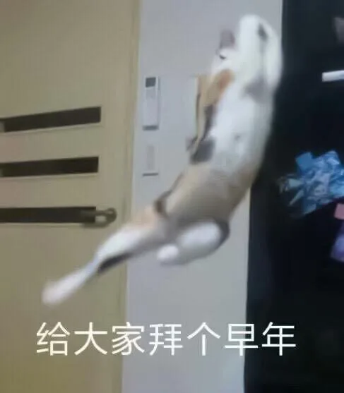 给大家拜个早年（给大家拜个早年）