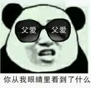 你从我眼睛里看到了什么？（父爱、父爱）（你从我眼睛里看到了什么？（父爱、父爱））