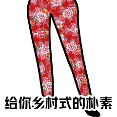 给你乡村式的朴素（给你乡村式的朴素）