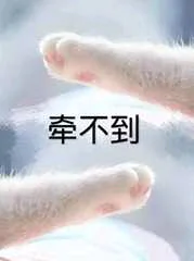 牵不到！（牵不到！）