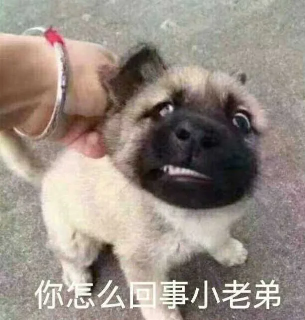 你怎么回事小老弟（你怎么回事小老弟）