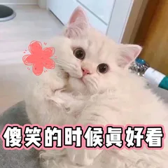 傻笑的时候真好看（傻笑的时候真好看）