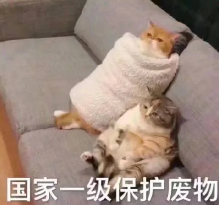 国家一级保护废物（国家一级保护废物）