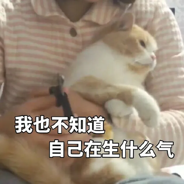 我也不知道自己在生什么气（我也不知道自己在生什么气）