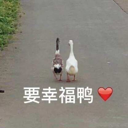 要幸福鸭◇（要幸福鸭◇）