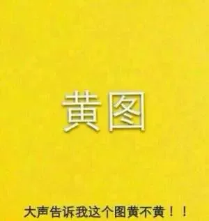 黄图，大声告诉我这个图黄不黄！（黄图，大声告诉我这个图黄不黄！）