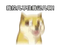 我控几不住我记几啊！（我控几不住我记几啊！）
