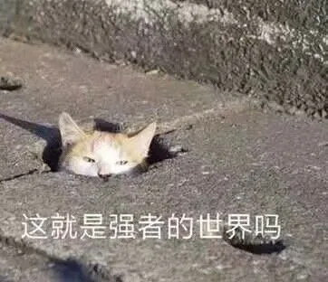这就是强者的世界吗（这就是强者的世界吗）