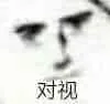 对视（对视）
