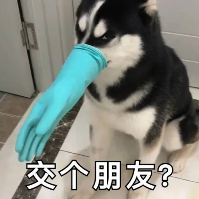 交个朋友？（交个朋友？）