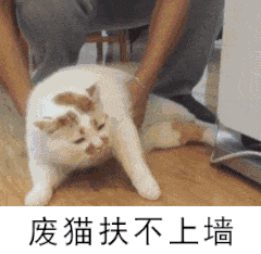 废猫扶不上墙（废猫扶不上墙）