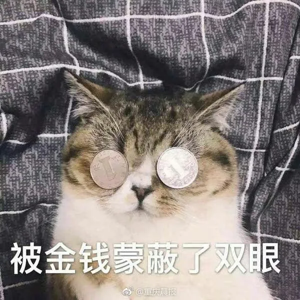 被金钱蒙了双眼（被金钱蒙了双眼）