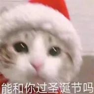 能和你过圣诞节吗（能和你过圣诞节吗）
