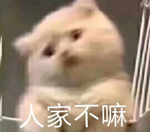 人家不嘛（人家不嘛）