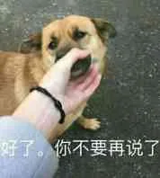 好了，你不要再说了（好了，你不要再说了）