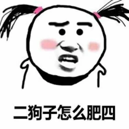 二狗子怎么肥四（二狗子怎么肥四）