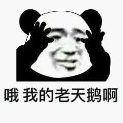 哦，我的老天鹅啊（哦，我的老天鹅啊）
