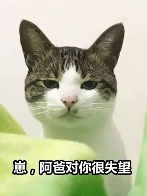 崽，阿爸对你很失望（崽，阿爸对你很失望）