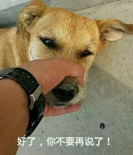好了，你不要再说了！（好了，你不要再说了！）