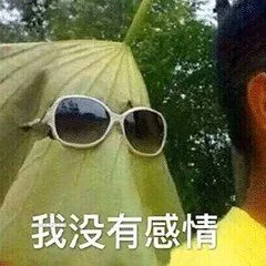 我没有感情（我没有感情）