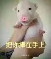把你捧在手上！（把你捧在手上！）