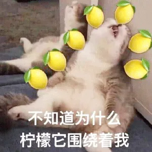 不知道为什么柠檬它围绕着我（不知道为什么柠檬它围绕着我）