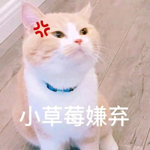 小草莓嫌弃（小草莓嫌弃）