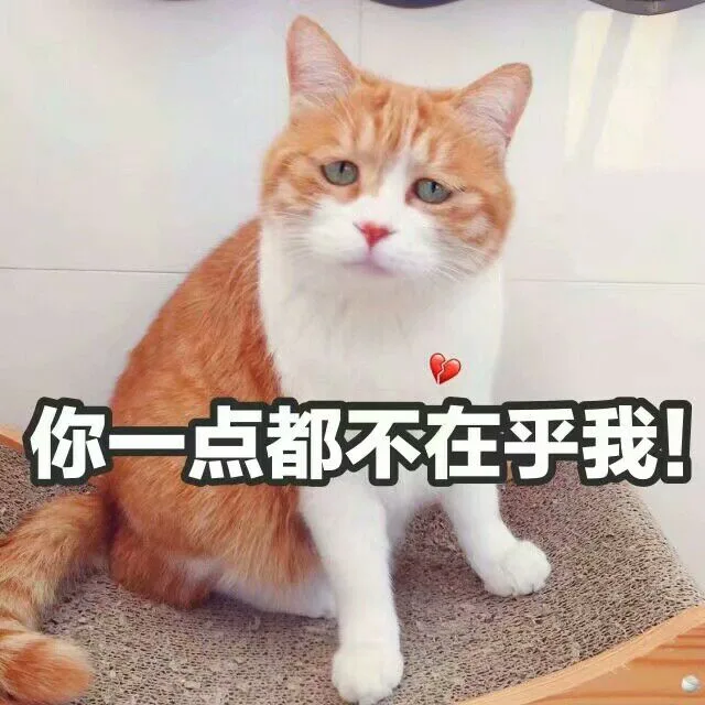 你一点都不在乎我（你一点都不在乎我）