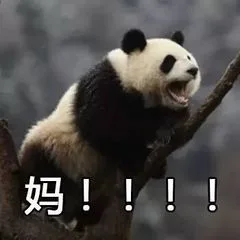 妈！！！！（妈！！！！）