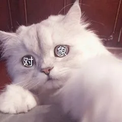对象在哪里（对象在哪里）
