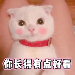 你长得有点好看（你长得有点好看）