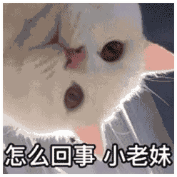 怎么回事小老妹（怎么回事小老妹）