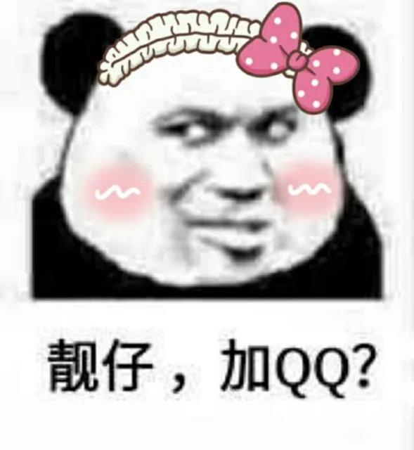 靓仔，加QQ？（熊猫头）（靓仔，加QQ？（熊猫头））