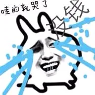 哇的就哭了（哇的就哭了）