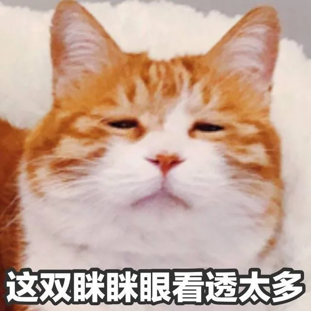 这视眯跳眼看透太多（这视眯跳眼看透太多）