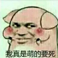 我真的萌的要死 ！（我真的萌的要死 ！）